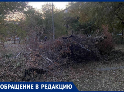 «Ждут, когда это само сгорит?»: волжане просят убрать кучу мусора с придомовой территории