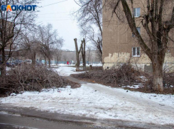 Сильный ветер и каток в Волжском: синоптики озвучили прогноз погоды на воскресенье