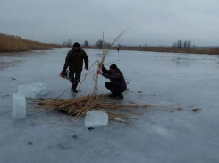 «Рыба моя, живи!», волжан призывают спасти обитателей озера