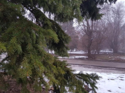 Последний рабочий день недели будет пасмурным