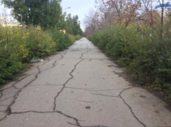 Тучные облака пообещали синоптики Волжскому в день Якова