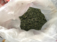 В Волгоградской области изъяли 400 грамм марихуаны у пенсионера