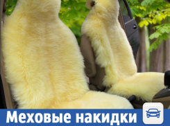 Меховые накидки на кресла предложили волжанам