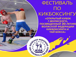 В Волжском пройдет фестиваль по кикбоксингу