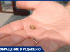 Булочка с начинкой из камней и полное равнодушие со стороны директора «Пятерочки» в Волжском