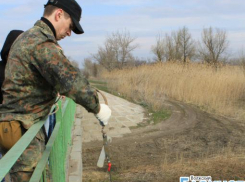 В водоемах «Волго-Ахтубинской поймы» умирает рыба