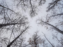 Суббота продолжит серию пасмурных дней в Волжском