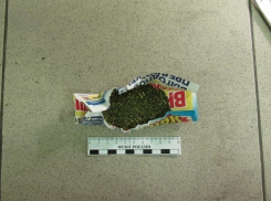 Руководители стройфирмы в Волжском выращивали коноплю в цветочных горшках