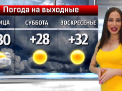 Мошка никуда не уйдет: в выходные будет жарко и солнечно в Волжском