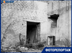 Окраины города Волжского превратились в хоррор