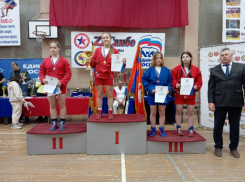 Волжские самбисты показали мастерство на областном первенстве