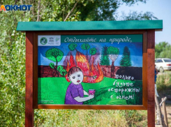 Доступ в лес для волжан ограничен в целях безопасности