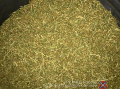 У жителей Среднеахтубинского района нашли пятьдесят килограмм марихуаны 