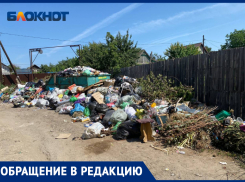 Волжский тонет в мусоре: жители ДНТ «Труд» бьют тревогу