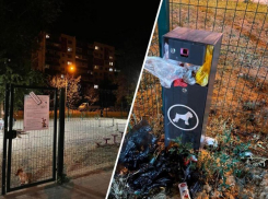 Собачий кал две недели копится в урнах на площадке для выгула в Волжском
