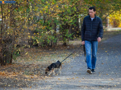 Переменная облачность ожидается в последний четверг октября