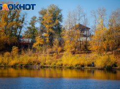 Климатолог рассказал, когда в Волгоградской области начнется бабье лето