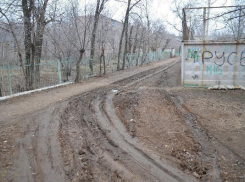 «Блеск и нищета»: винтажные лавочки и крокодил на дереве