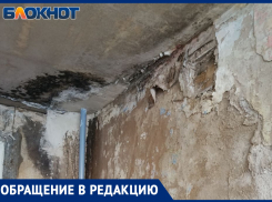 «Они довели наш дом до аварийного состояния»: волжане жалуются на управляющую компанию
