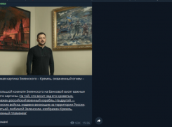 Волжанка Ольга Скабеева назвала Зеленского «наркоманом» из-за картины с горящим Кремлем