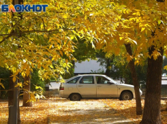 День таможенника обещает быть солнечным