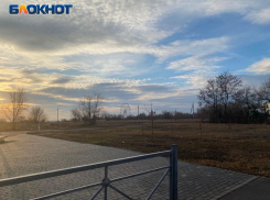 Новая аллея с площадками для детей и собак появится в Волжском: видео