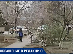 «Вандализм среди белого дня»: мужчина о ломающих кормушку мальчиках в Волжском