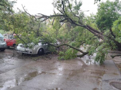 В Волжском стихия обрушилась на автомобили