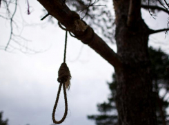 В Волжском две девочки нашли 27-летнего парня повешенным в лесополосе