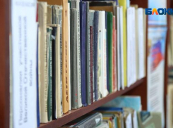 Обменяться книгами и поиграть в настолки: в Волжском анонсировали организацию буккроссинга