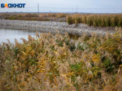 Среди победителей регионального фотоконкурса  - две юные волжанки