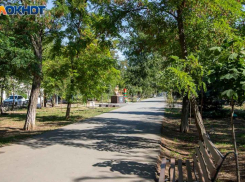 Летняя погода вернулась в Волжский: прогноз