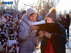 Жители Волжского массово выступили за запрет строительства на месте вырубки деревьев в Киляковке