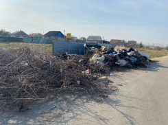 Свалку у дороги устроили дачники в поселке под Волжским: фото