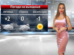 Солнечную погоду в День Конституции прогнозируют в Волжском