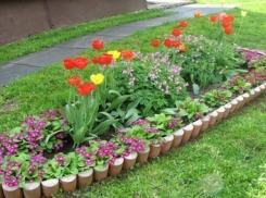 Инвалиды Волжского хотят сделать город красивым