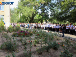 В Волжском первый осенний день будет солнечным: прогноз