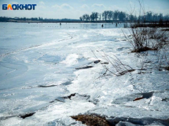 День голубых и ушастых будет холодным