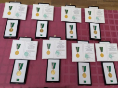 Врачей из Волжского наградили медалями за борьбу с коронавирусом