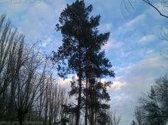 В предпраздничный день синоптики пообещали мороз в Волжском