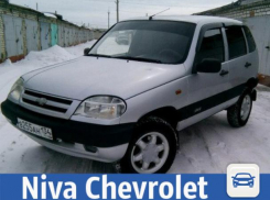В Волжском ищут хозяина для Niva Chevrolet