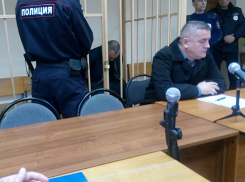 Подозреваемого в жестоком убийстве волжанок Александра Масленникова заключили под стражу