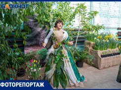 Весеннее настроение в феврале: в Волжском открылась выставка первоцветов