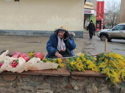 Несанкционированную торговлю цветами пресекают в Волжском