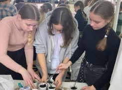 В Волжском школьники из ботанического сада готовятся к высадке саженцев