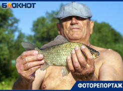 Хвостатые соблазнили всех мужей: день рыбака в Волжском