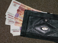 «Коронавирус помог»: в регионе выросла среднемесячная зарплата