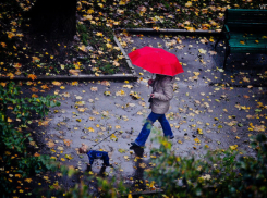 В Волжском на смену солнцу придут пасмурные дни 