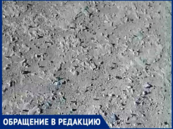 «На Волжский надвигаются полчища саранчи», - волжанка