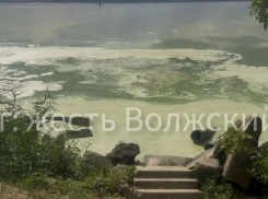 Едкая пена покрыла Волгу в Волжском: экологическая катастрофа из-за сброса нечистот 